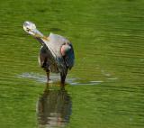 D20_6511 copy.jpg