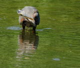 D20_6512 copy.jpg