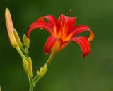 D20_8658 copy.jpg