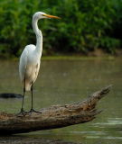 D20_8788 copy.jpg