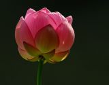 D20_9485 copy.jpg