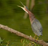 D20_0440 copy.jpg