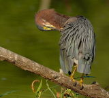 D20_0450 COPY.jpg
