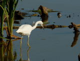 D20_0745 copy.jpg
