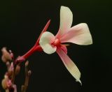 D20_0675 copy.jpg