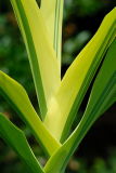 D20_0678 copy.jpg