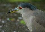D20_3124 copy.jpg