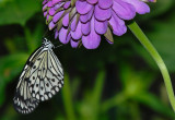 D23_9502.jpg