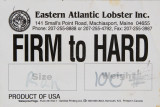 Eastern Atlantic Lobster - Firm to Hard.jpg