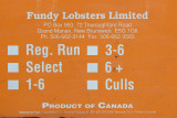 Fundy Lobsters Ltd - Orange Check.jpg