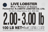 R.I. Smith Lobster Co Lmt 2-3 White.jpg