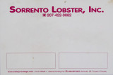 Sorrento Lobster Inc - Generic White.jpg