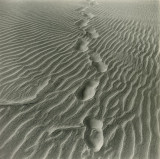 footsteps in sand oregon