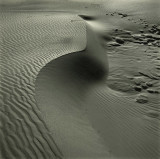 early light oregon coast dune