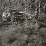 wind and wrecked car