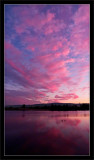 Pinks Clouds at Sunset