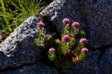 A Return To Mount Evans