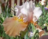 GardenCentres02.jpg