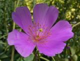 GardenCentres04.jpg