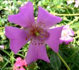 GardenCentres05.jpg