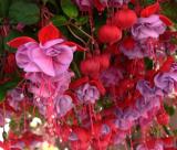GardenCentres08.jpg