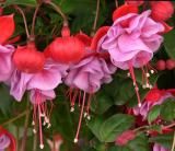 GardenCentres09.jpg