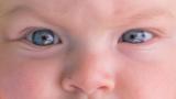 TheEyes.jpg
