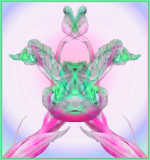 Iris4.jpg