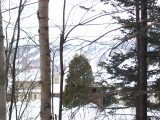 114_0136.JPG