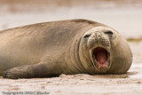 Sand in the mouth