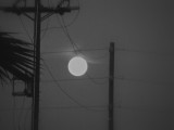 the moon electric
