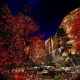 2nd place<br>Zion in fall by Bill Vann