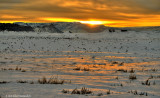 5th place: Morning Glow by Albert Yanowich Jr.