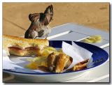 The Unexpected Guest !...