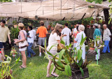 Case St auction early birds