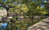 Houston Zoo reflecting pool to W