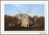 The Windmill