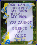 YOU CANNOT SILENCE MY VOICE