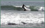 Surfin