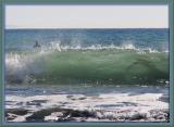 Sea-thru