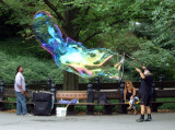 Central Park Bubble Blowing