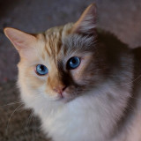 Milo is Ms Squirrel Outside.jpg