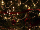 The 2008 Tree cropped.jpg