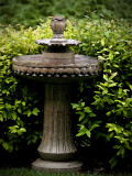 Lawn Fountain-high ISO challenge
