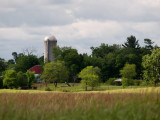 MN Farmland.jpg