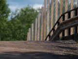 Rare Wooden Bridge.jpg