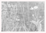 Wild Flower Poem.jpg