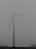 Fog in Dodge County_F.jpg