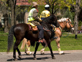 A-2 The Wagon Train_9.jpg