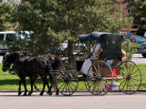 A-2 The Wagon Train_11.jpg